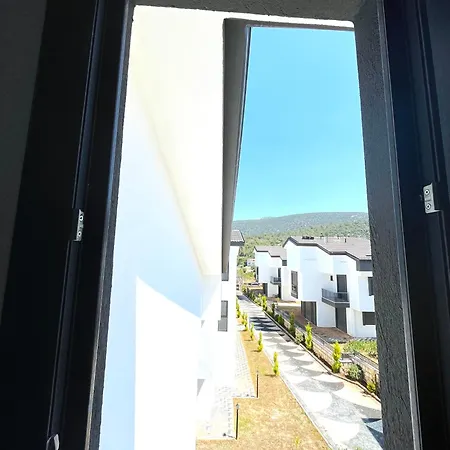 Life Point Akbuek Ντιντίμ